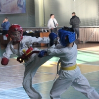 На первенстве по каратэ в Лесозаводске участвовало 180 спортсменов