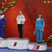 Три медали на всероссийских соревнованиях по ушу завоевали Приморские спортсмены