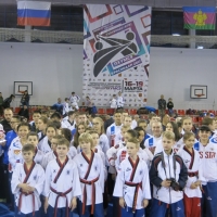 Сборная Приморского края успешно выступила на чемпионате  и первенстве России по тхэквондо ВТФ