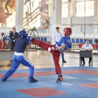 Открытый турнир г. Владивостока
по кикбоксингу в дисциплине лайт-контакт